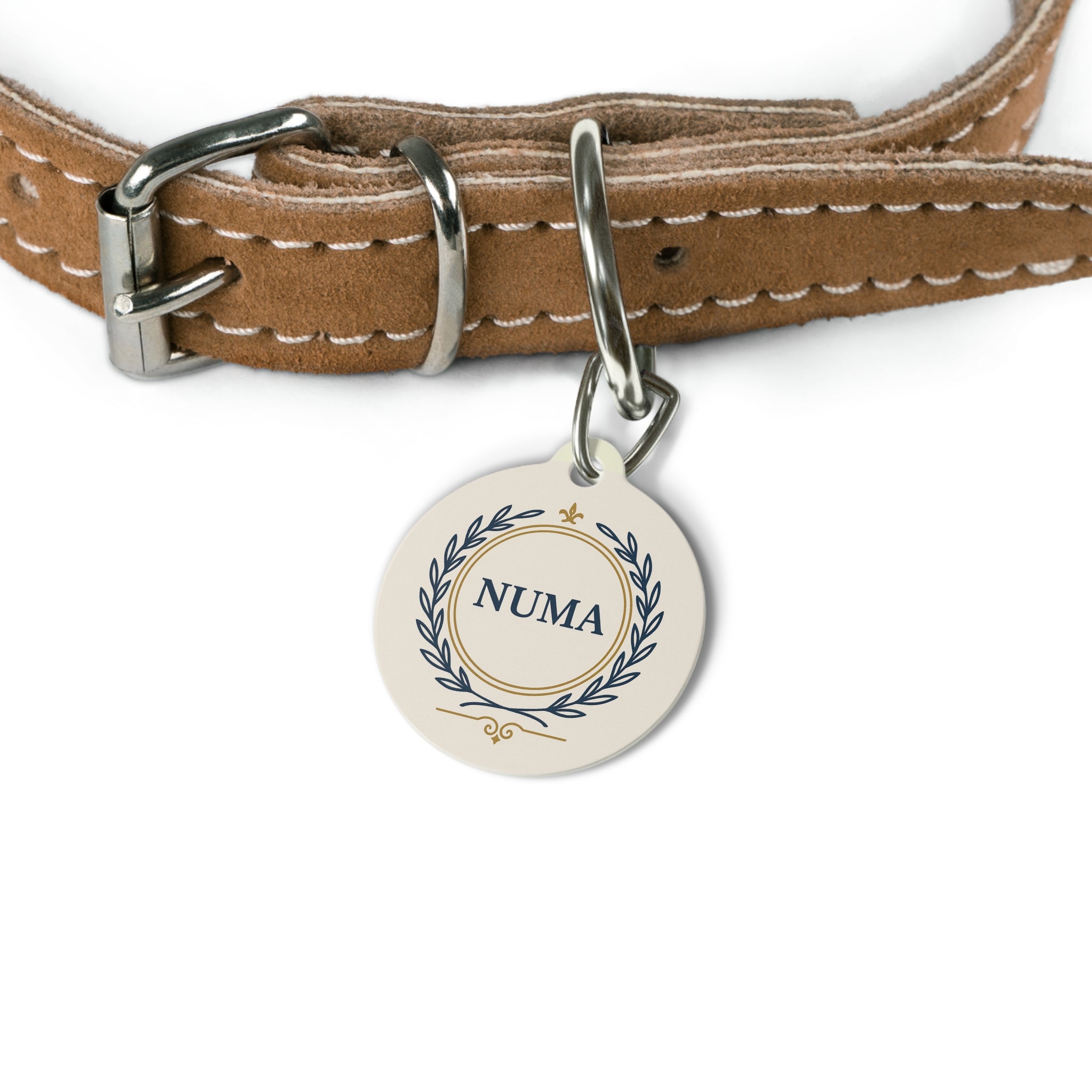 Collar Tags & Accessories