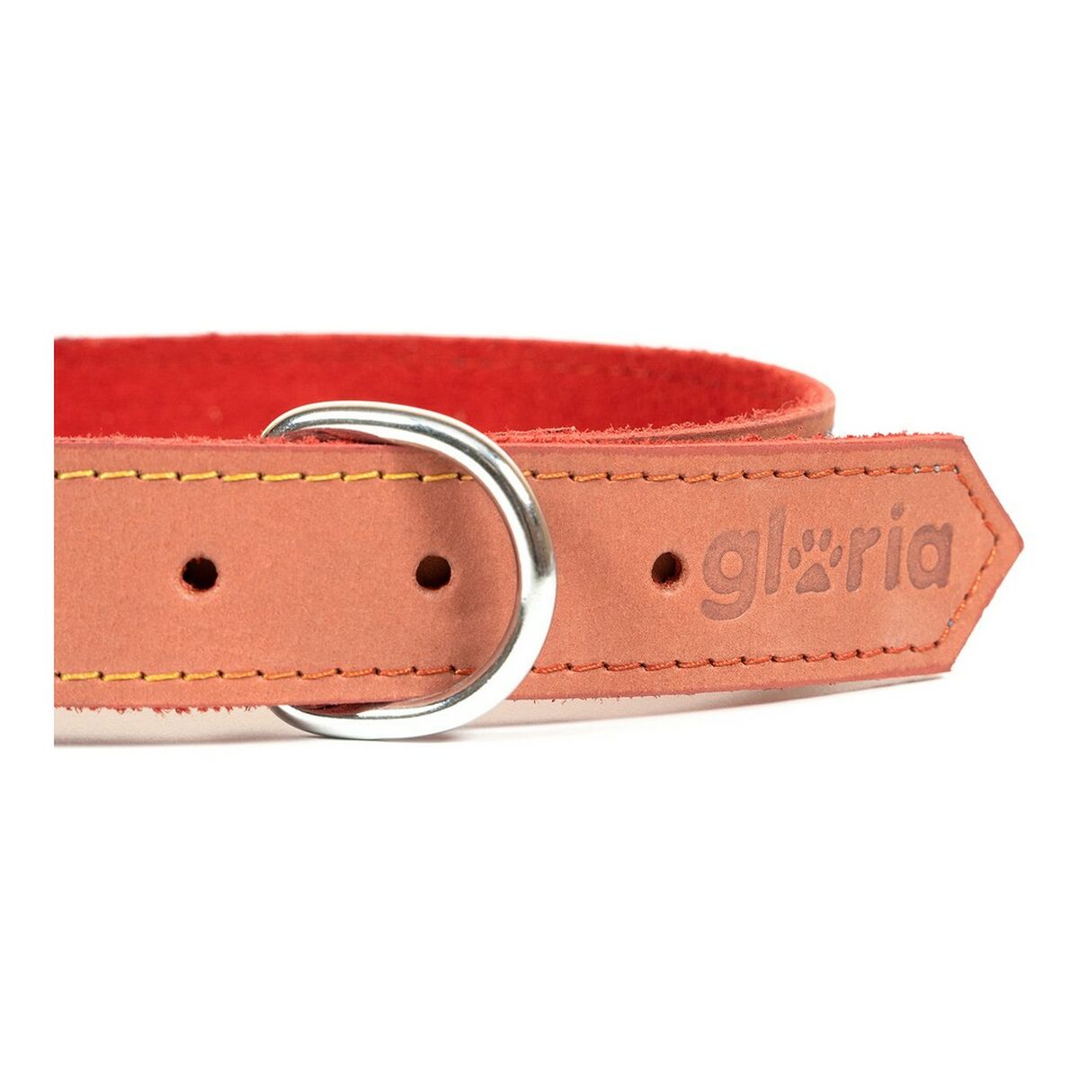 Custom Collars
