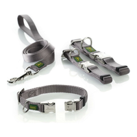 Dog Collars, Harnesses & Leashes