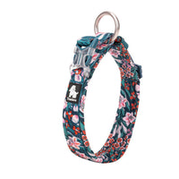 Dog Collars