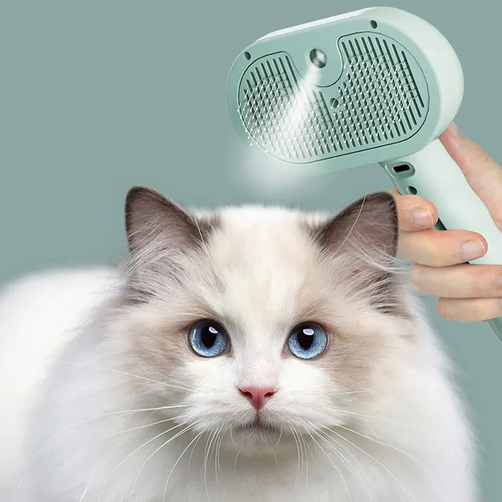 Cat Grooming & Hygiene