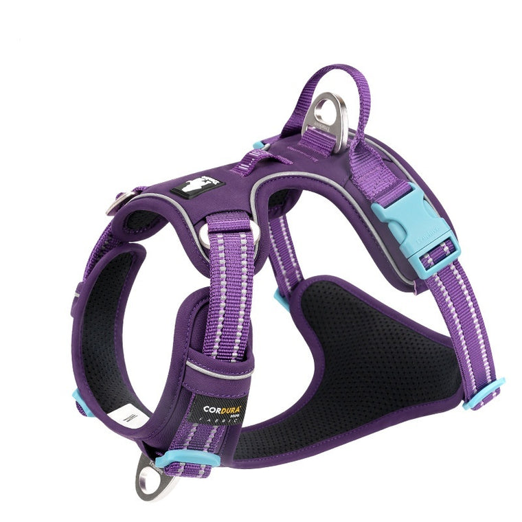 Truelove Ultra-Durable CORDURA Harness with Reflective Straps