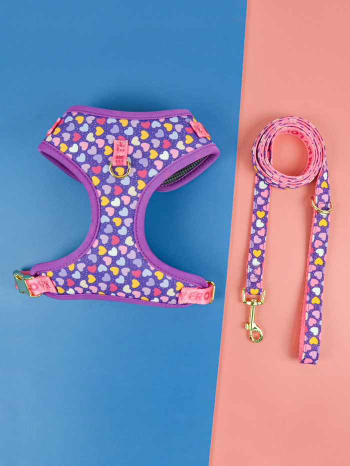 Lovesea Harness and Leash Set for Medium &amp; Large Dogs