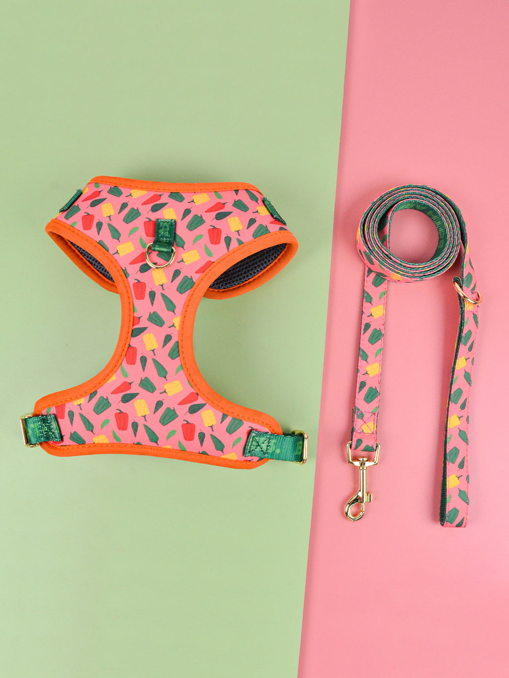 Dog harness and leash set with floral pattern on a green and pink background
