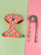 Dog harness and leash set with floral pattern on a green and pink background