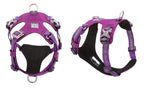 Purple dog harness on a white background