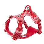 Red dog harness with floral pattern on a white background