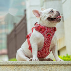 Truelove 3M Reflective Cotton Floral Dog Harness