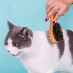 Truelove Double-Sided Pet Brush