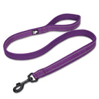 Truelove Mesh Padded Reflective Dog Leash
