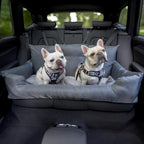 Two dogs sitting inside a pet car kennel placed on the back seat of a car.