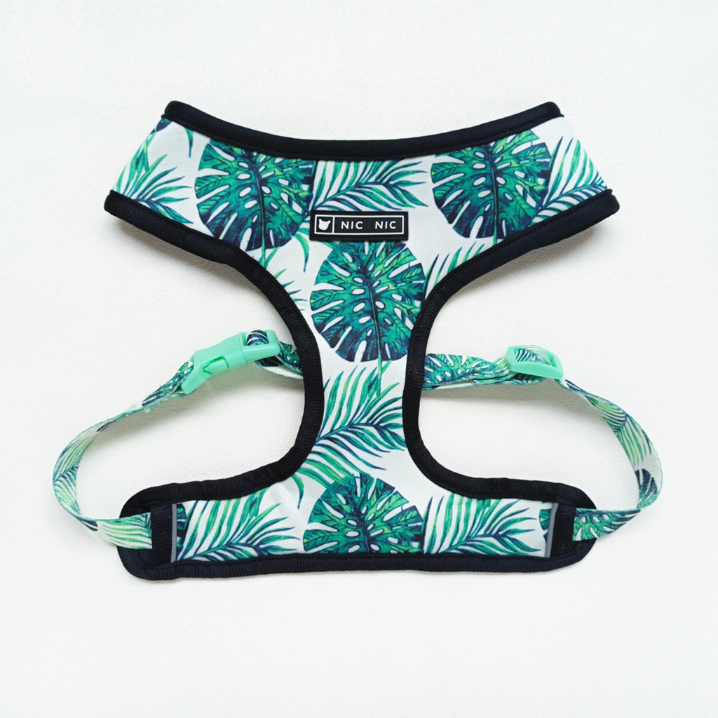 Tropical leaf patterned dog harness on a white background