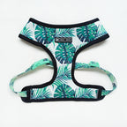 Tropical leaf patterned dog harness on a white background