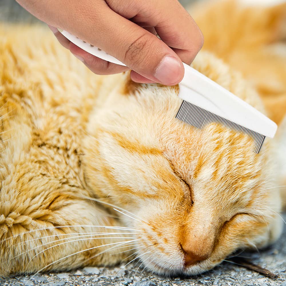 Multifunctional Fine-Tooth Pet Grooming Comb