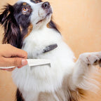 Multifunctional Fine-Tooth Pet Grooming Comb