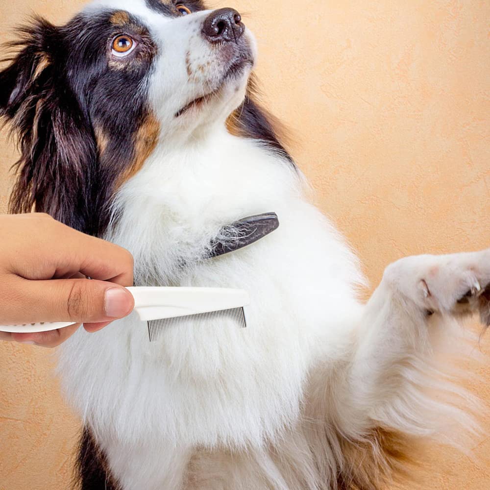 Multifunctional Fine-Tooth Pet Grooming Comb