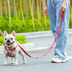 Truelove Multi-Handle Dog Leash