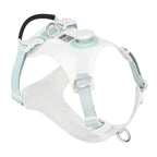 Dog harness with light blue straps on a white background