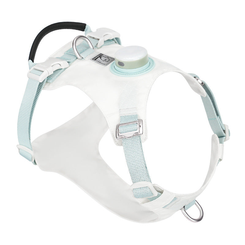 Dog harness with light blue straps on a white background
