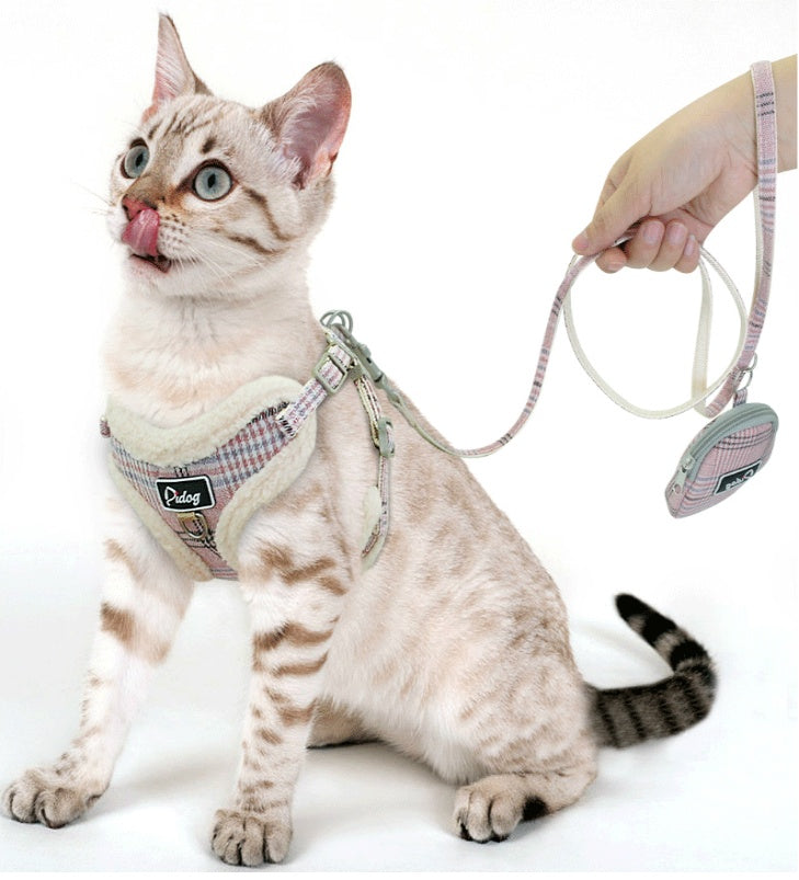 Cat wearing a harness and leash on a white background