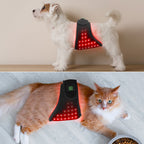 Pet Red Light Belt Physiotherapy Infrared