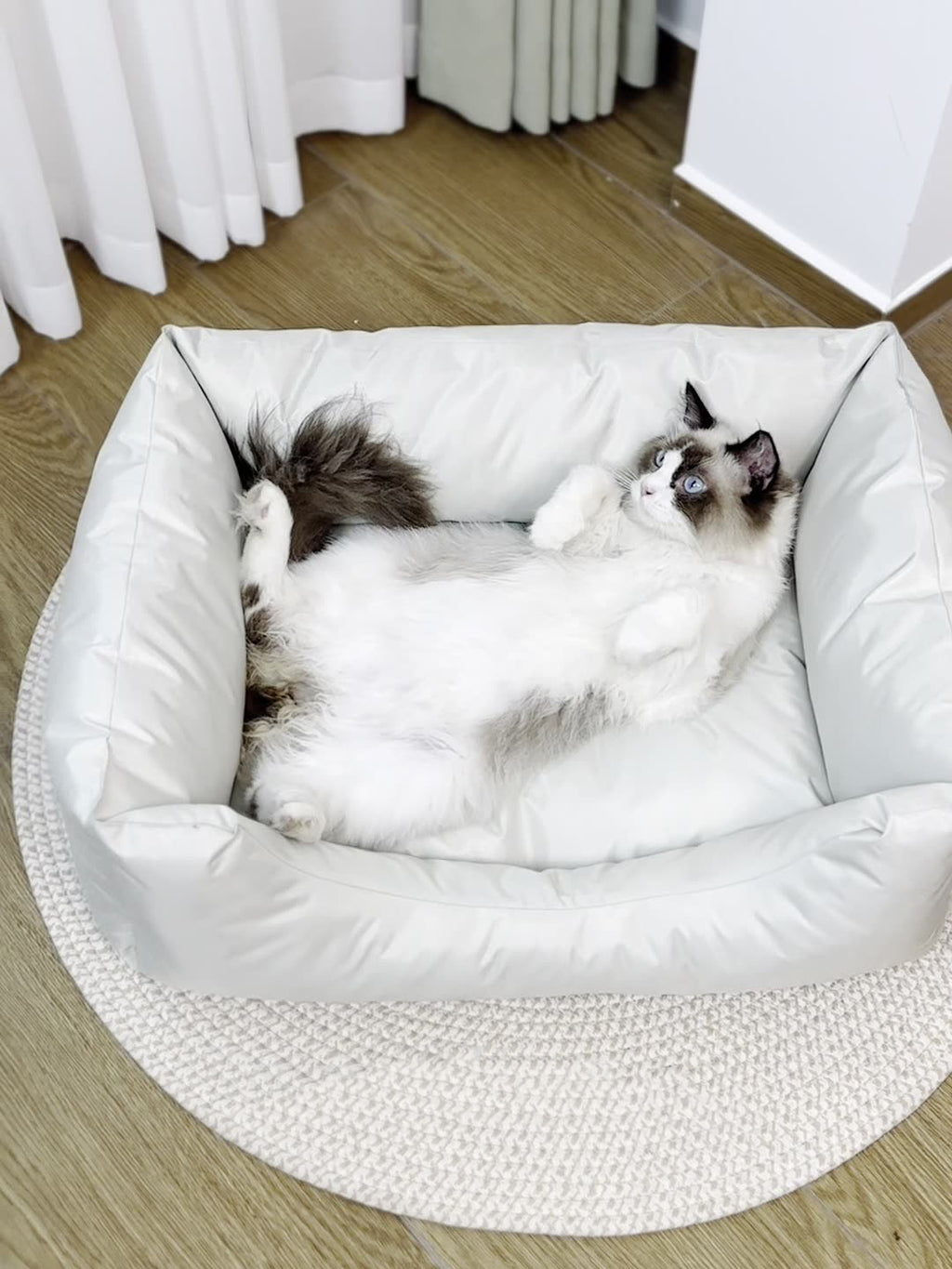 Waterproof Oxford Bed Sofa