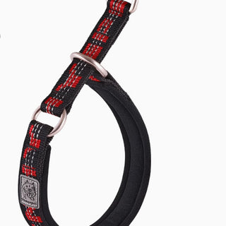 Reflective black red