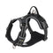Truelove Ultra-Durable CORDURA Harness with Reflective Straps