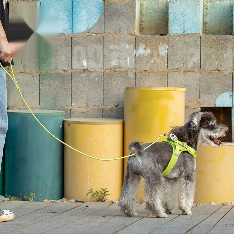 Truelove Durable Rope Dog Leash – Hands-Free & Reflective Design