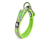 Truelove Reflective Padded Dog Collar