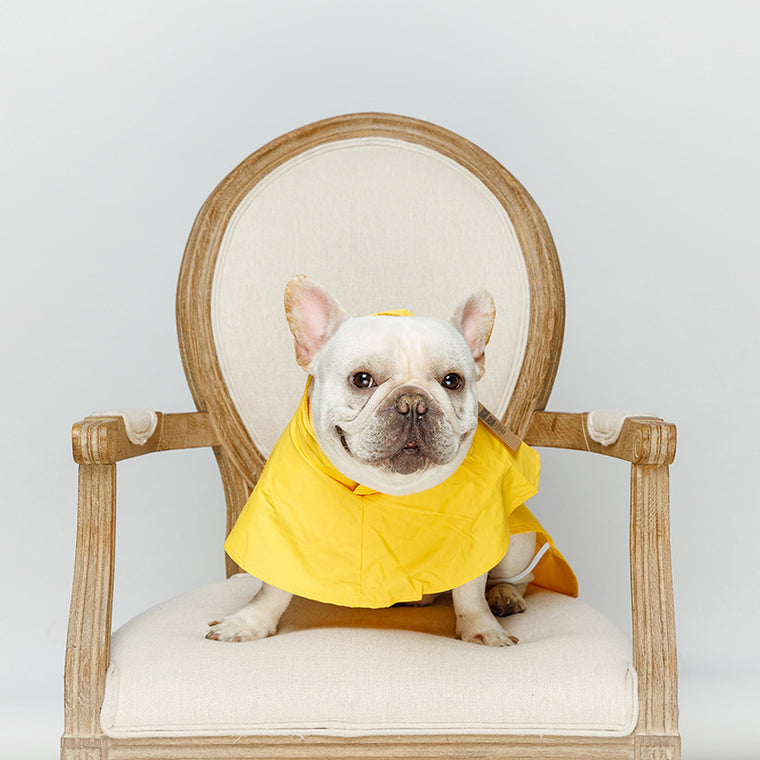 Loff Dog Water-resistant Raincoat