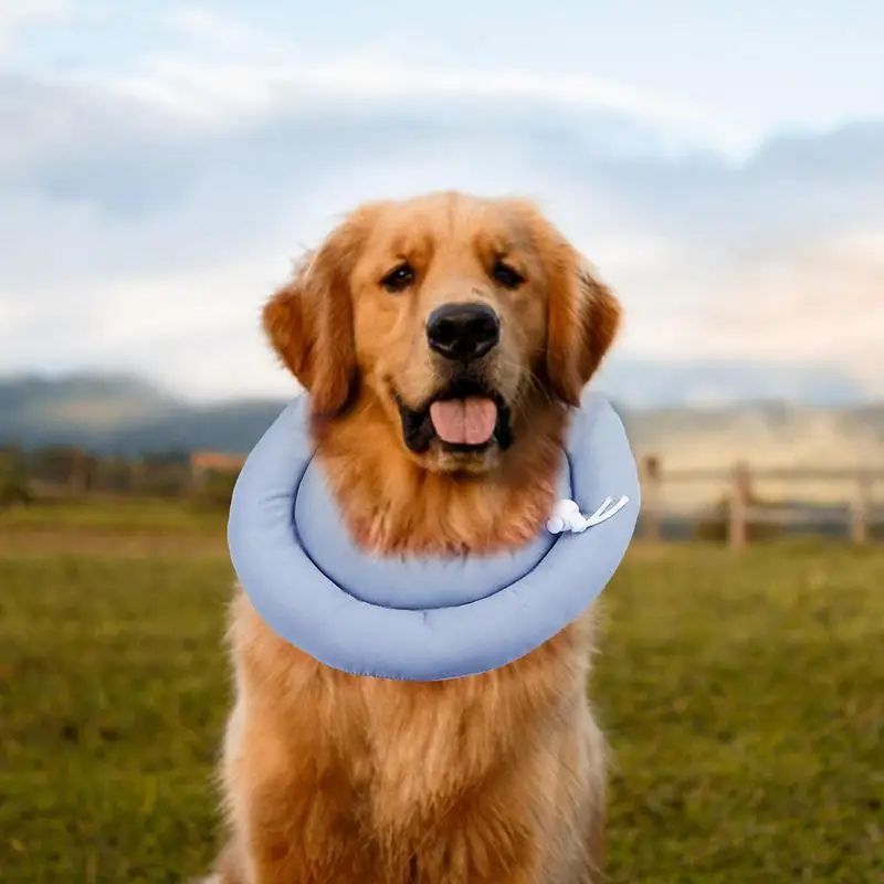 Elizabethan Recovery Cone – Adjustable Collar for Cats and Dogs