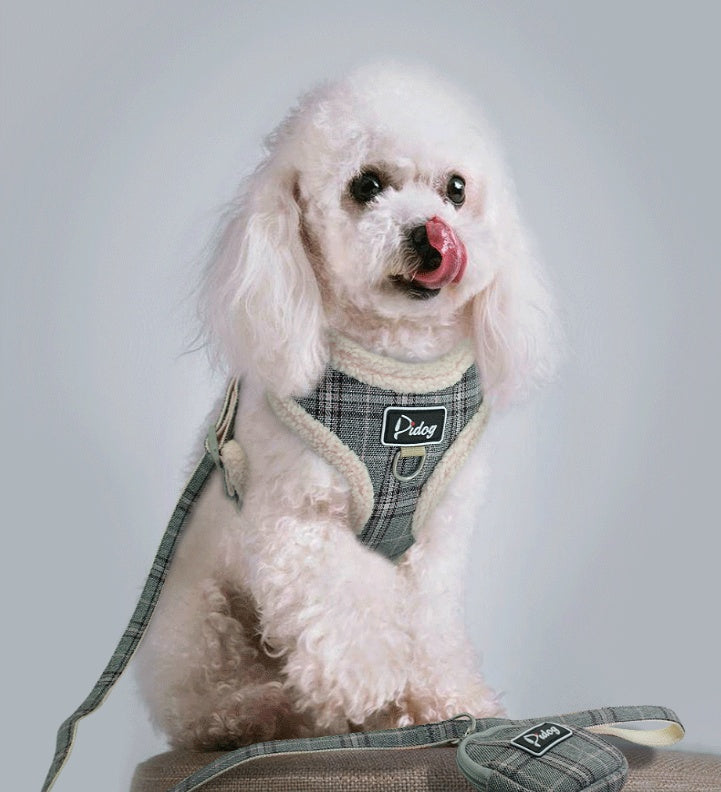 White dog wearing a plaid harness on a light gray background
