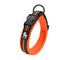 Orange dog collar with black hardware on a white background