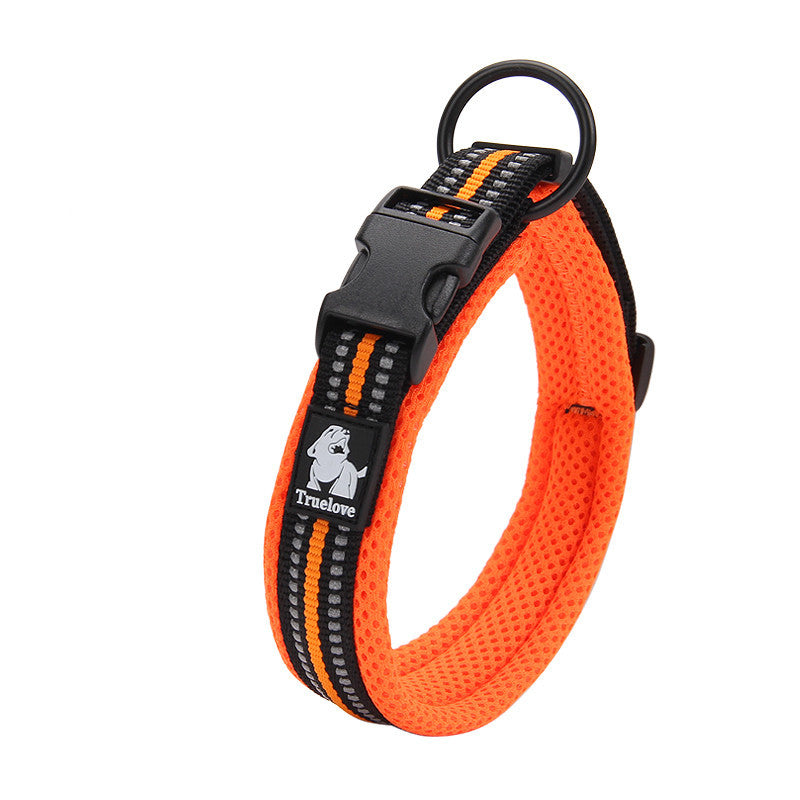 Orange dog collar with black hardware on a white background