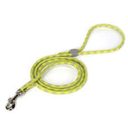 Yellow dog leash with a metal clip on a white background