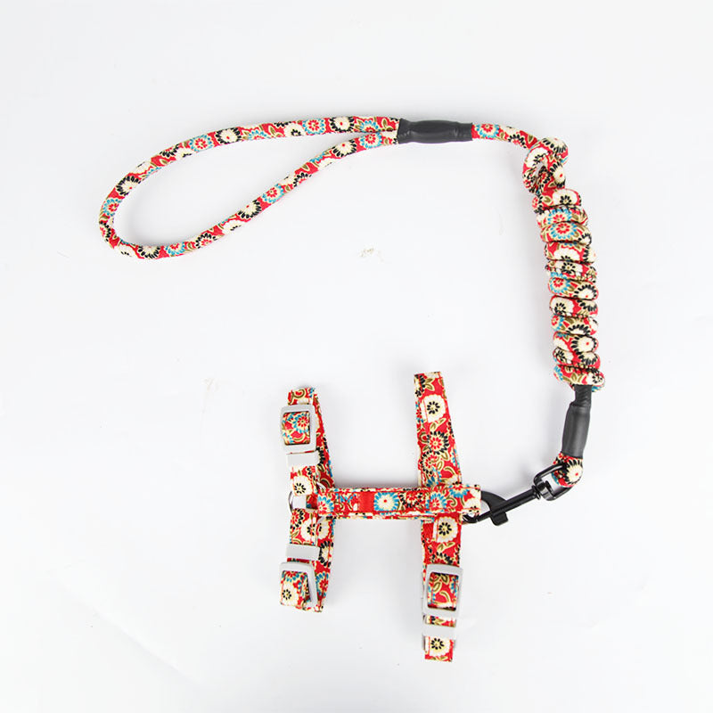 Colorful dog harness and leash set on a white background