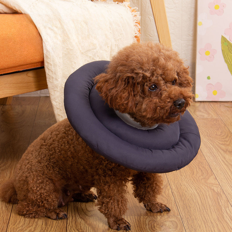 Elizabethan Recovery Cone – Adjustable Collar for Cats and Dogs