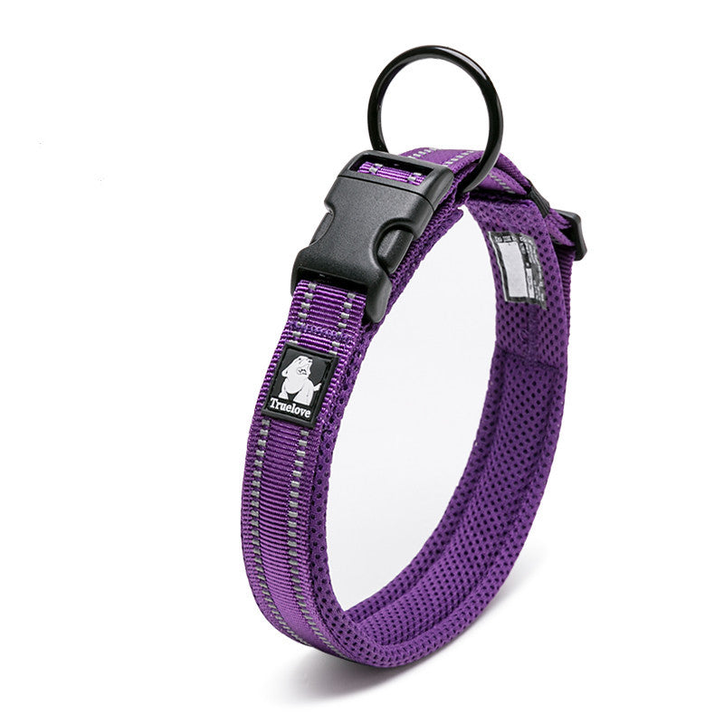 Purple dog collar with a black buckle on a white background