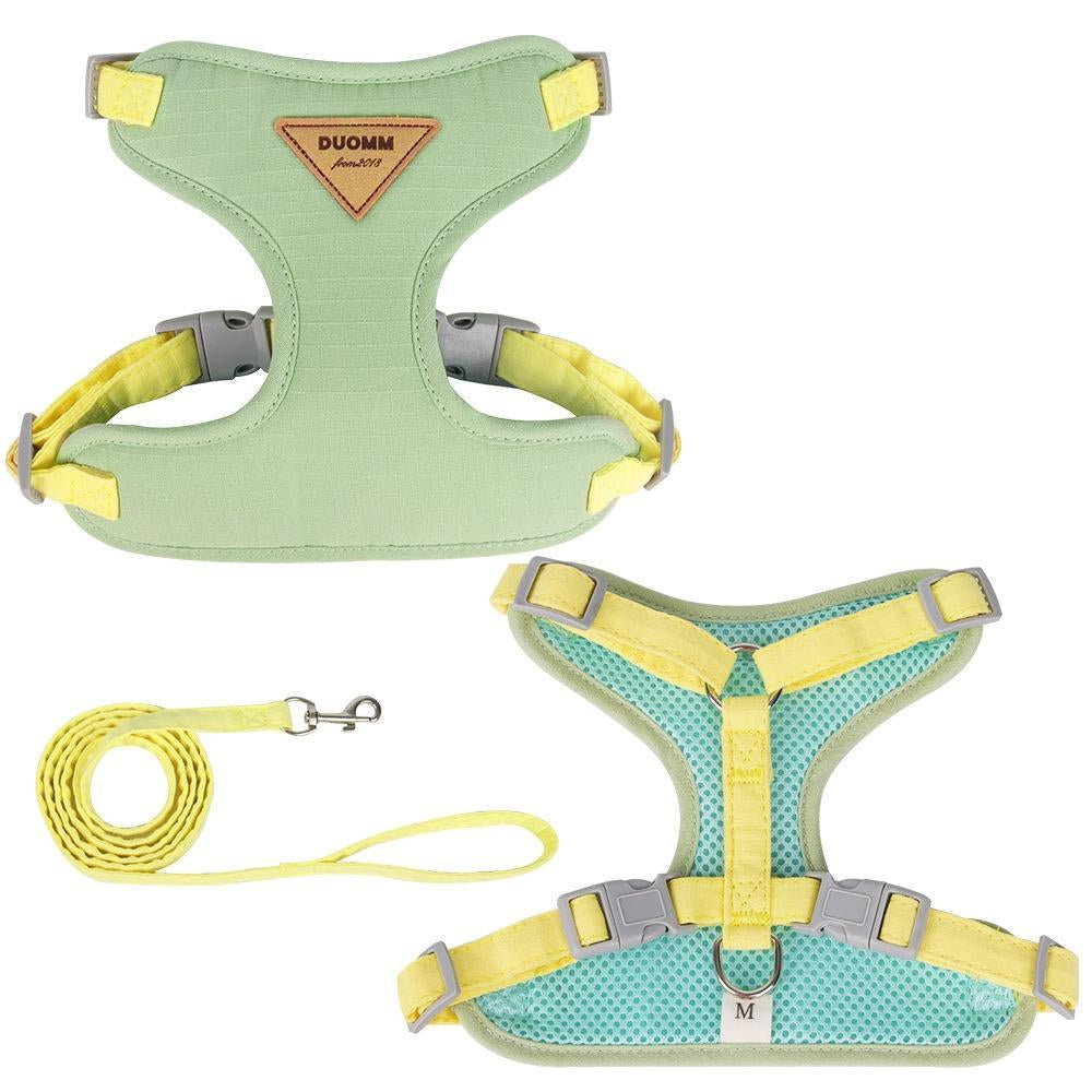 Green and turquoise dog harness with yellow accents and a leash on a white background.