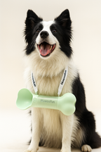 MeewooFun 2-in-1 Dog Water Bottle