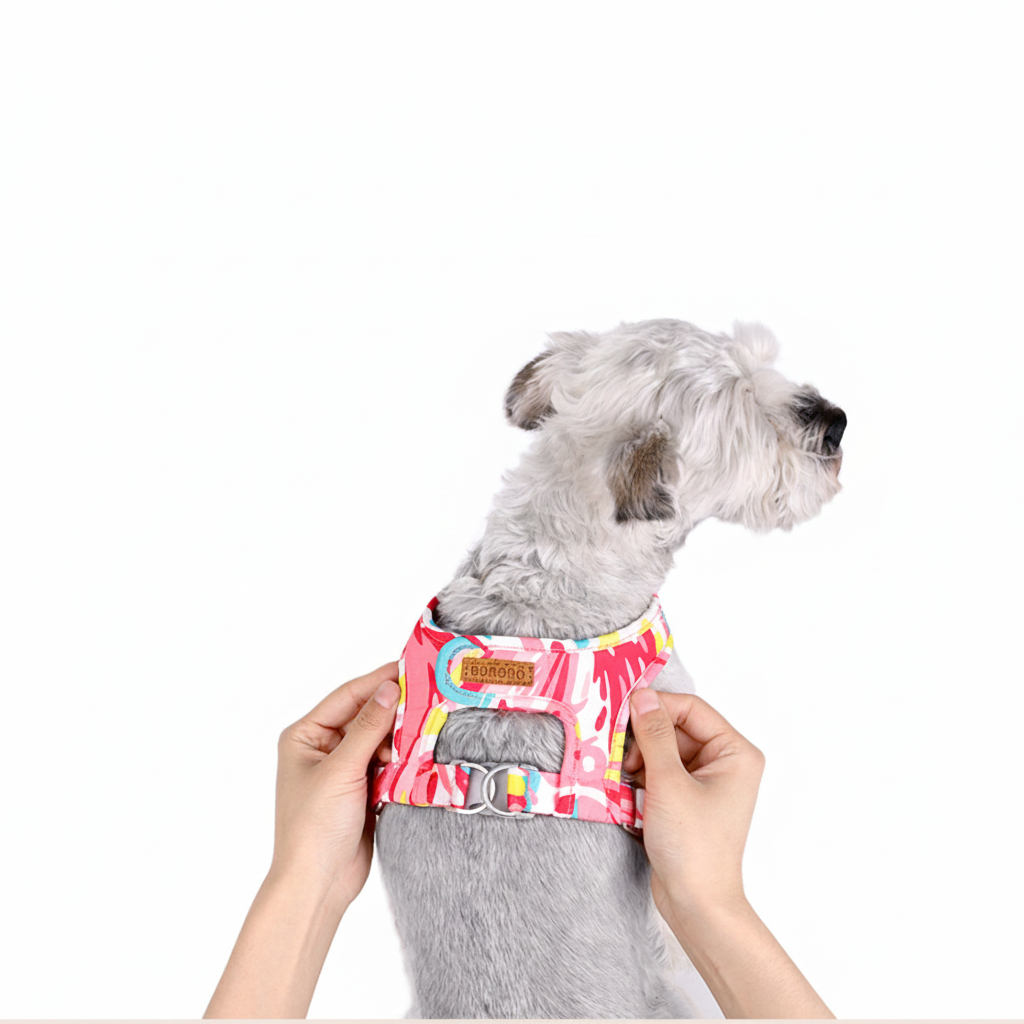 BORORO No-Pull Breathable Dog Harness & Leash Set – Adjustable Fit