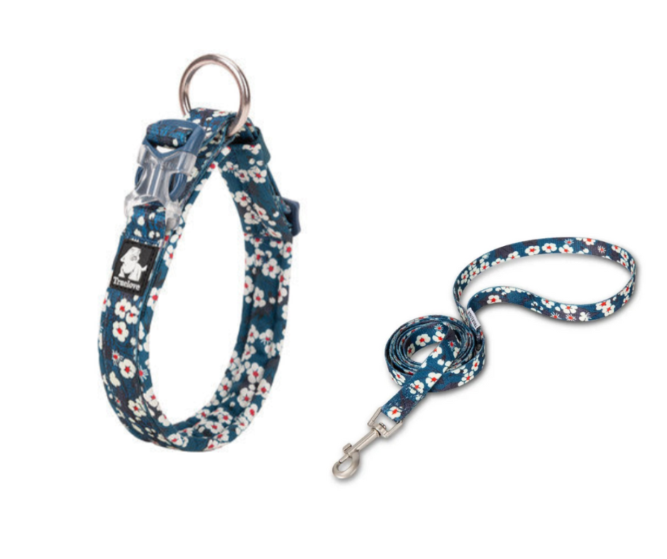 Truelove Floral Cotton Dog Collar & Leash Set