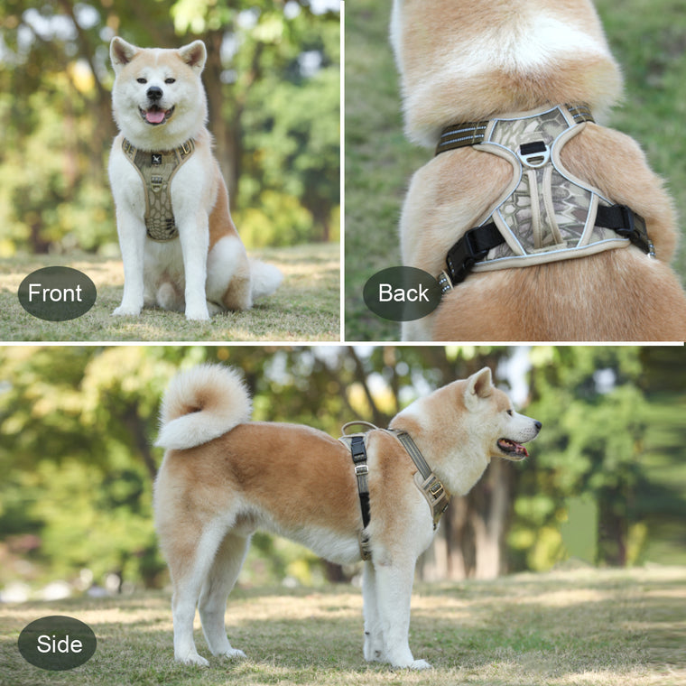 Reflective Dog Harness with Dual Leash Attachment