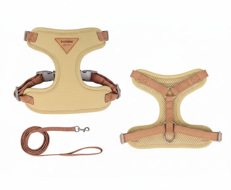 Breathable Mesh Harness and Leash Set for Small Pets – Anti-Escape Design