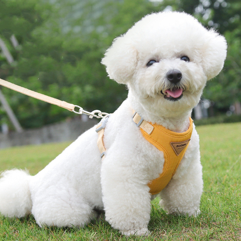 White dog wearing a yellow harness on a grassy field