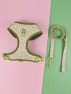 Lovesea Harness and Leash Set for Medium &amp; Large Dogs