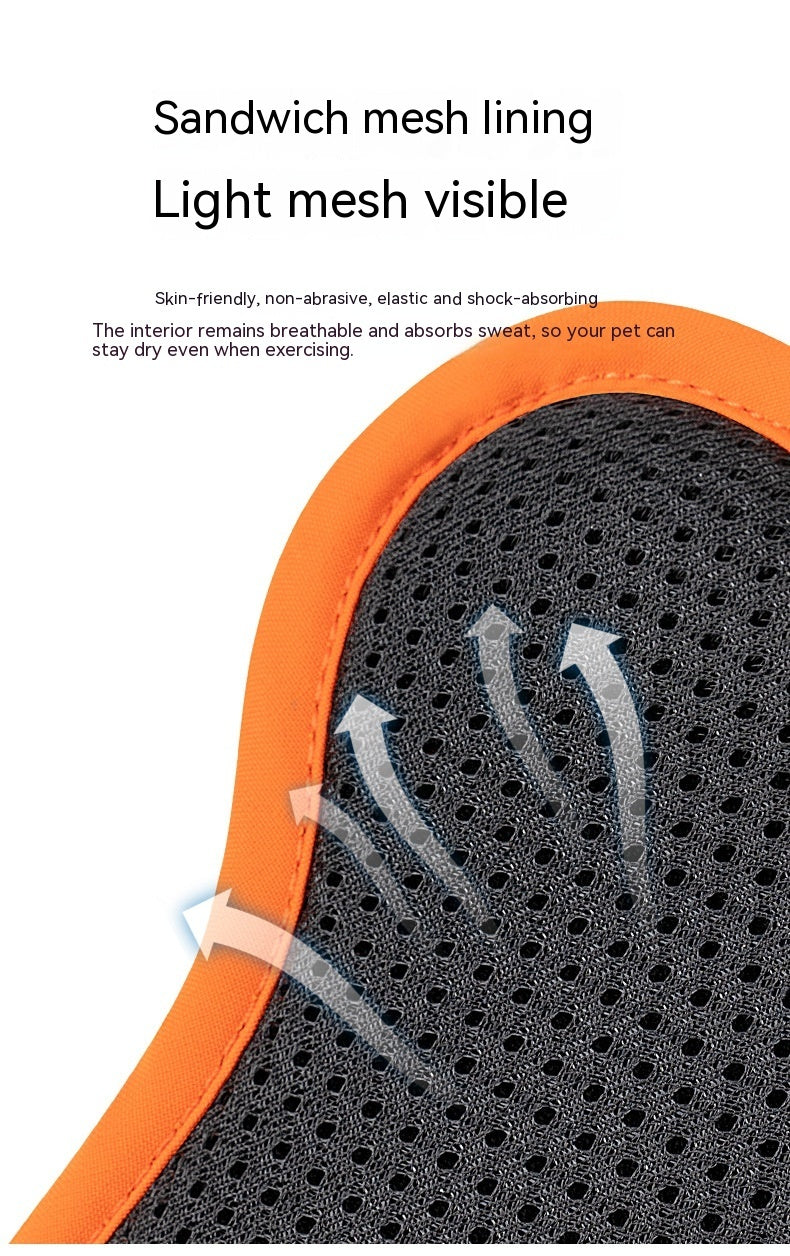 Truelove Ultra-Durable CORDURA Harness with Reflective Straps