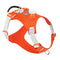 Orange dog harness with white accents on a white background