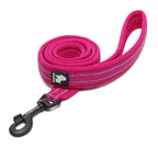 Truelove Mesh Padded Reflective Dog Leash
